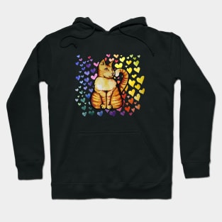 Rainbow Orange Cat Hoodie